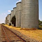 Standing Tall Along The Tracks -Explored 7/25/2012