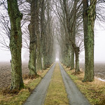 Simlinge - Fuji Industrial 100