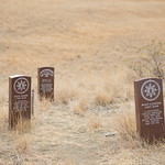 Little Bighorn 14