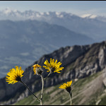 _SG_2018_07_9042_IMG_8596