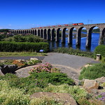 Royal Border Bridge.