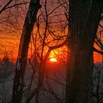 Sunrise in the woods of central PA 2 HDR