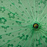 Umbrella - Kyoto, Japan