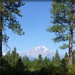 Amazing Summer view of Mount Shasta...