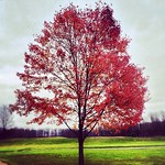 It's definitely autumn/winter here in Ohio! Playing tonight at the Packard Music Hall in Warren, OH!