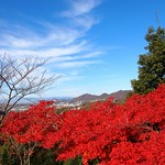 Japanese Autumn