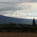 Ventoux