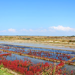 Colorful landscape...