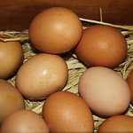 Eggs