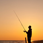 Surf Fishing
