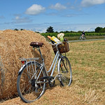 When in Rome do as the Romans