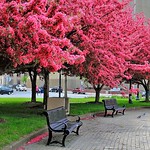 &ldquo;Sitting quietly, doing nothing, spring comes, and the grass grows by itself&rdquo;