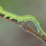 First Photo of 2015!