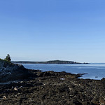 Low Tide at the Head
