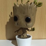 Groot