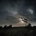 Emerson Point Preserve