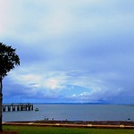 Wellington Point Queensland.