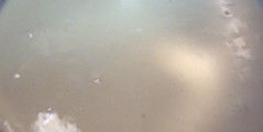 lots of bubbles