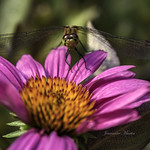 Staring contest...in 3, 2, 1....