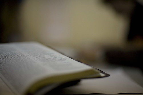 Sitting under the word