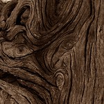 &ldquo;We love the imperfect shapes in nature and in the works of art, look for an intentional error as a sign of the golden key and sincerity found in true mastery.&rdquo; ― Dejan Stojanovic