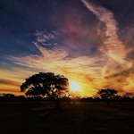 BRAS&Iacute;LIA - Sunset