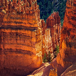 Walking Among Giants