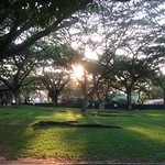 Evening @ Pasir Ris Park