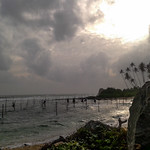 Sri Lankan Stilt Fisherman