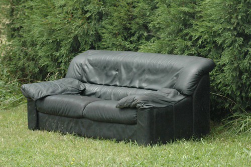 Un curioso lugar para descansar...