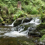 Ravennaschlucht bei Freiburg