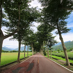 Bless the Broken Roads....