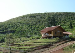 Huma di atas bukit...