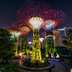 Singapore Supertrees at Gardens by the Bay at Bay South Singapore at night.