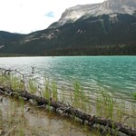 Emerald Lake Yoho National Park