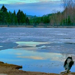 An image of Feelings