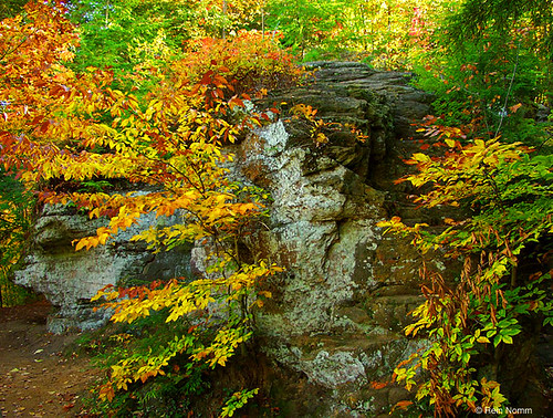 Fall at Grand Ledge