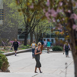 UWO Spring campus life May8, 2018-4.jpg