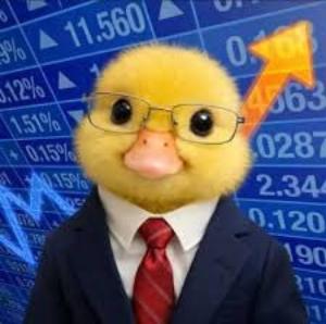 Nasduck（$NASDUCK） 发射 1 分钟即现异动：持有地址 54 个
