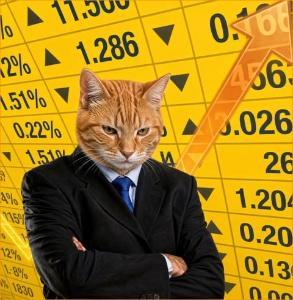 猫来 持有地址突破 300，进入 Four.meme 热门