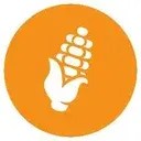 Corn Coin（$Corn） 发射 1 分钟即现异动：持有地址 75 个