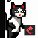 BinaryX Cat（$Neko） 曲线进度突破 50%，市值 2599 BNB