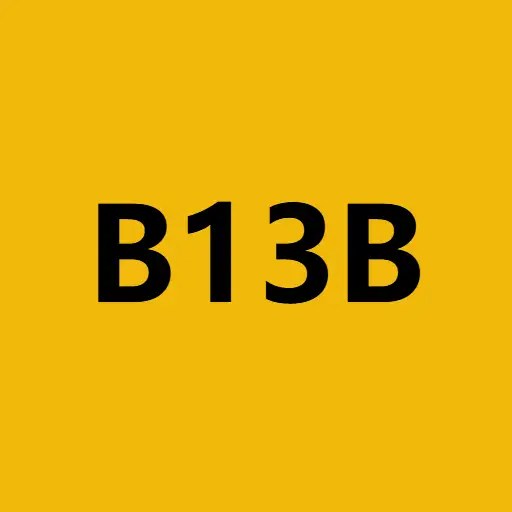 BNCB的旧名（$B13B） 曲线进度突破 50%，市值 2755 BNB