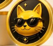 mogcat（$MOGCAT） 曲线进度突破 50%，市值 2525 BNB