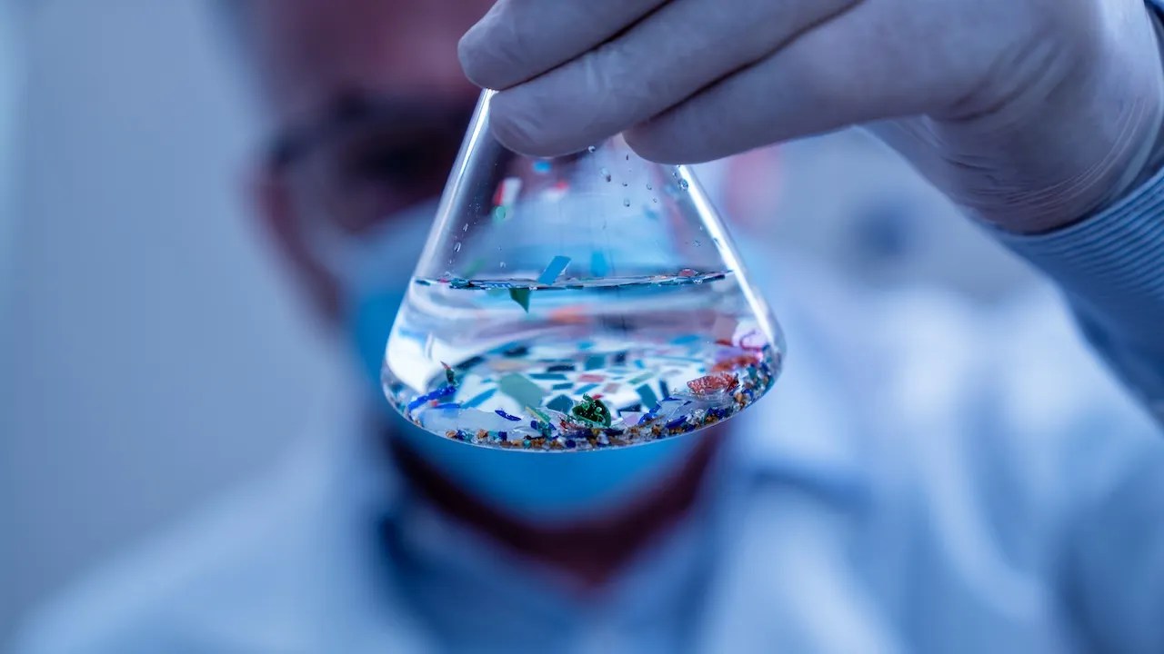 New Study Reveals Microplastics Found in Blood of Most Heart Attack Patients (2026)