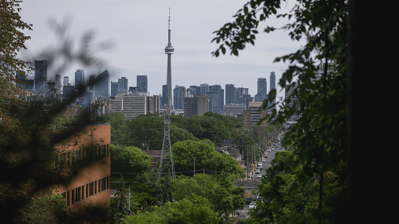 Toronto Latin Festival Tragedy: Gun Violence Claims Lives (2026)