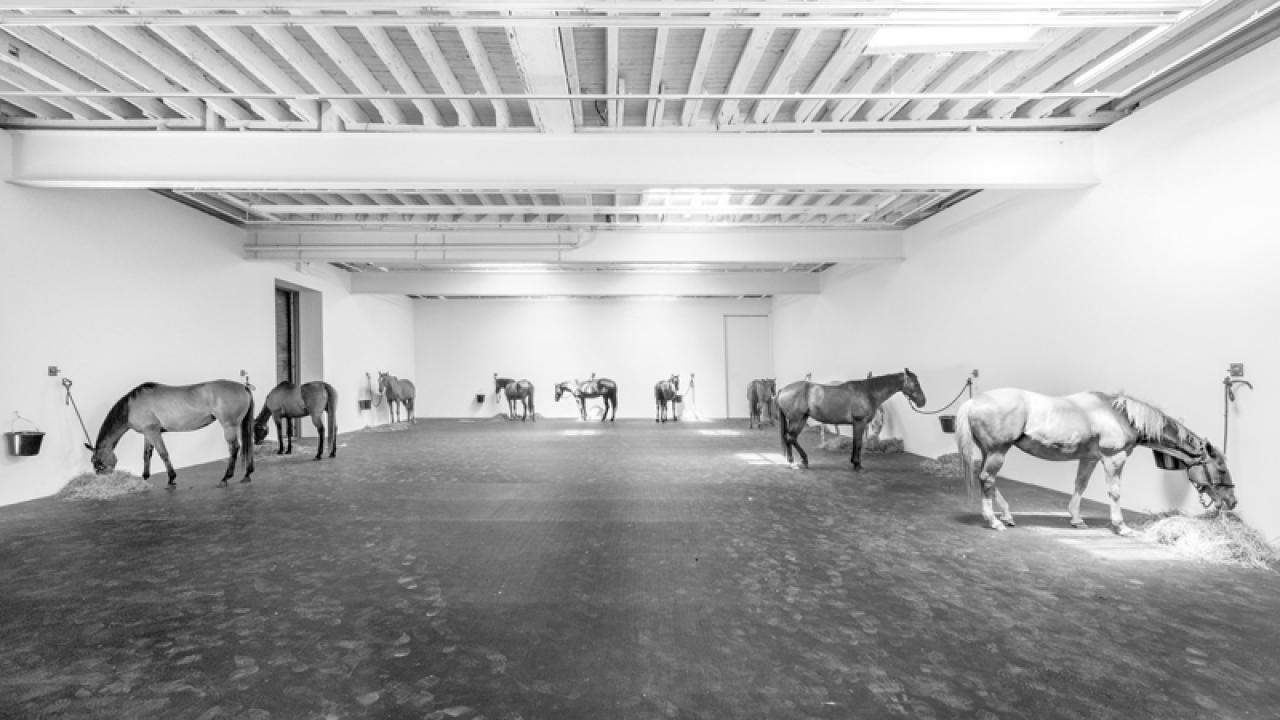 Briefing Frieze