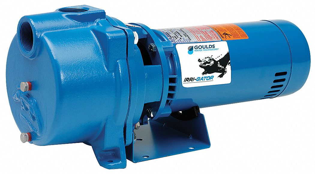 Hydraulic pumps use liquid to convert mechanical energy into pressure and flow. Goulds Water Technology 120 240v Ac Cast Iron Centrifugal Pump 1 Phase 1 1 2 In Npt Inlet Size 1n439 Gt15 Grainger