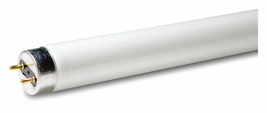 Sylvania 4 Ft 32 Watt Linear T8 Fluorescent Tube Light Bulb Daylight 1 Bulb Frosted However many 32W lamps have either been re-engineered or discontinued by the manufactures.