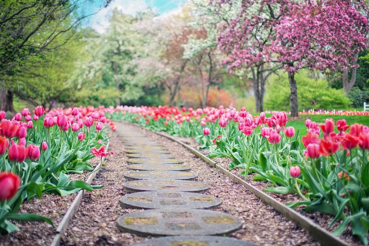 Fiori da giardino perenni - Giardinaggio - Tipologie di ...